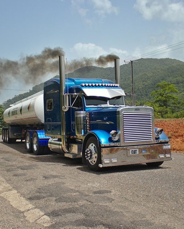 Services Ngauge Layouts